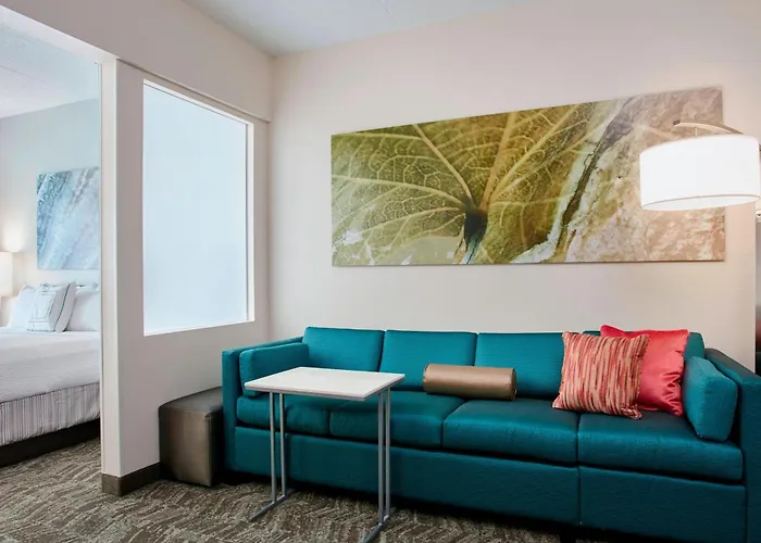 Hotel Springhill By Marriott Chicago Schaumburg/woodfield Mall 3*