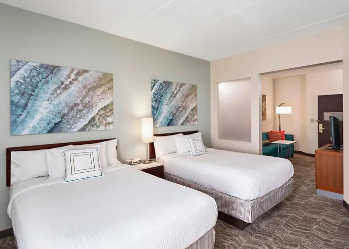 Springhill By Marriott Chicago Schaumburg/woodfield Mall Hotel 3*