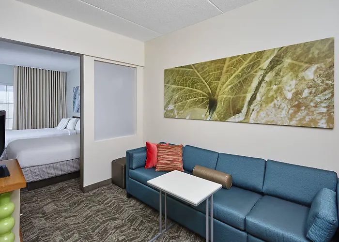 Springhill By Marriott Chicago Schaumburg/woodfield Mall Hotel 3*