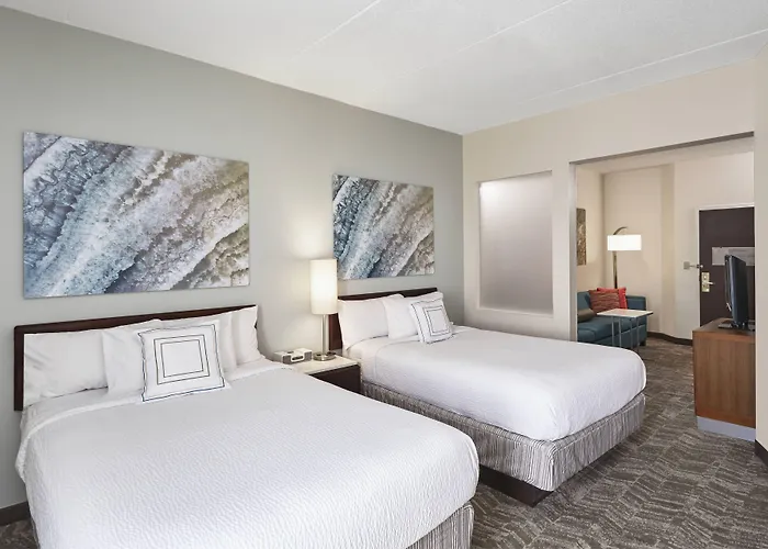 Springhill By Marriott Chicago Schaumburg/woodfield Mall Hotel Schaumburg