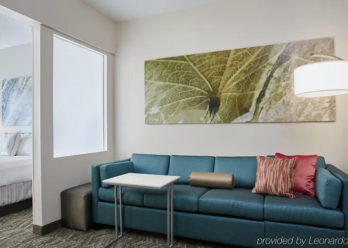 Springhill By Marriott Chicago Schaumburg/woodfield Mall 3* Schaumburg